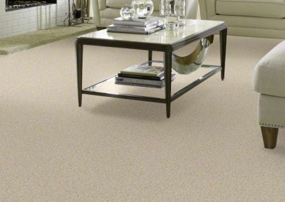 A modern living room with beige Eastman's Carpets flooring, two cream sofas, and a glass coffee table.