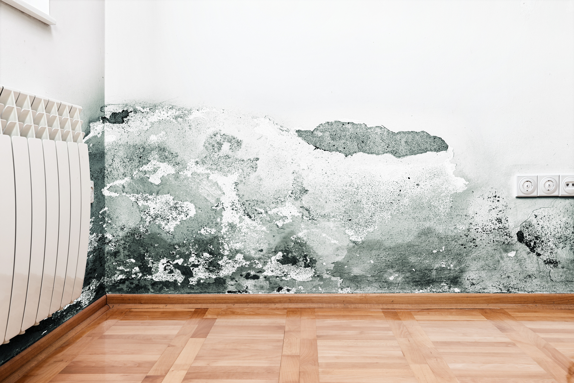 3 Categories of Water Damage