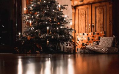 Protect Your Floors from Christmas Tree Damage