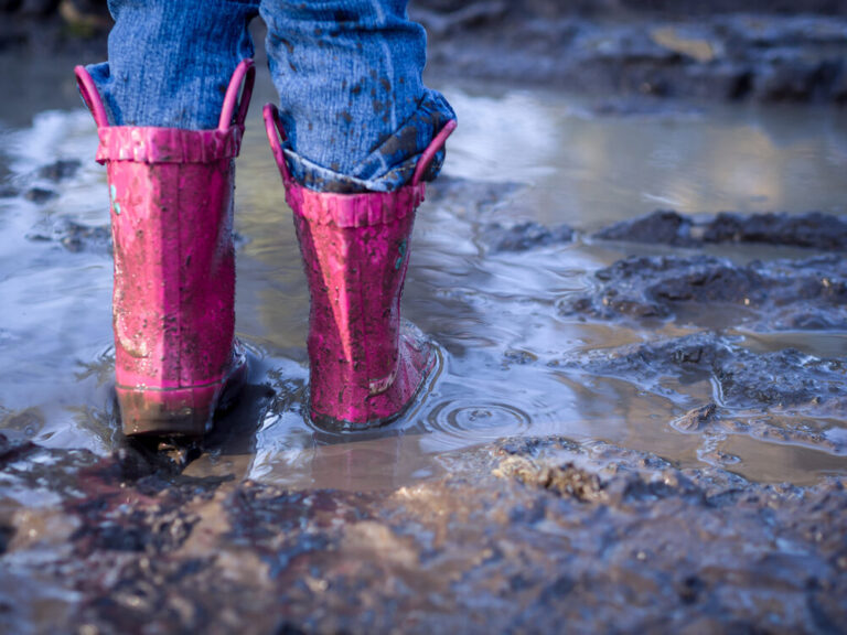 Muddy Floors During Hurricane Season