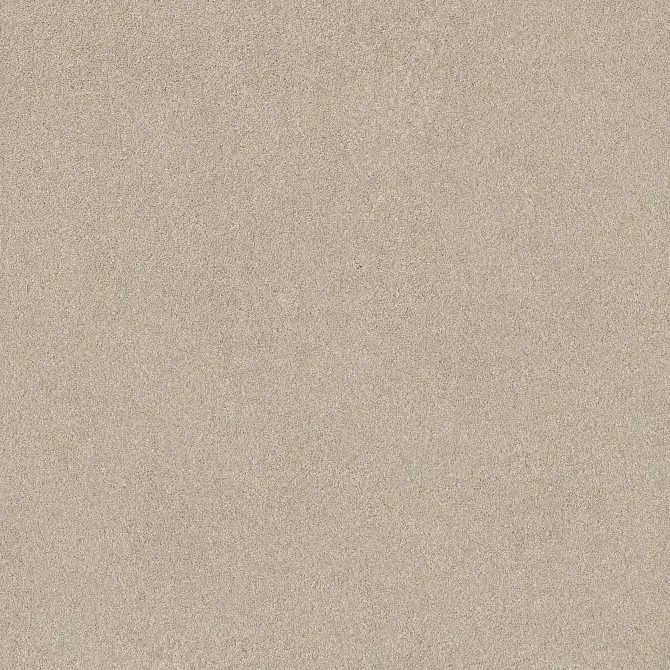 Pure Affection Cafe Latte - Eastman’s Carpets & Flooring