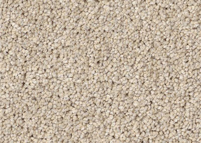SHAW PA Dune View 199 - Eastman’s Carpets & Flooring