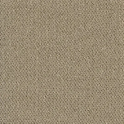 Soft Pine - Eastman’s Carpets & Flooring