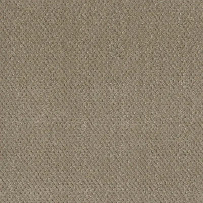 Warm Sand - Eastman’s Carpets & Flooring