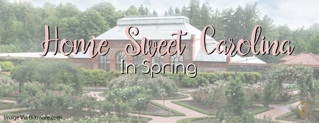 Sweet Home Carolina in Spring