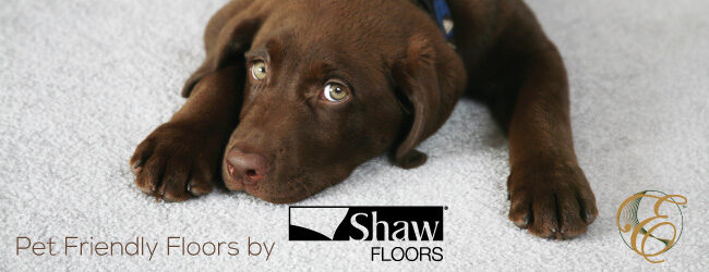 Pet Friendly Flooring Options by Shaw