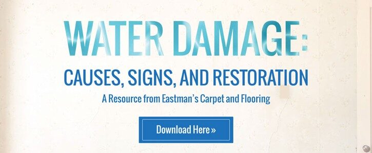 waterdamagecta - Eastman’s Carpets & Flooring