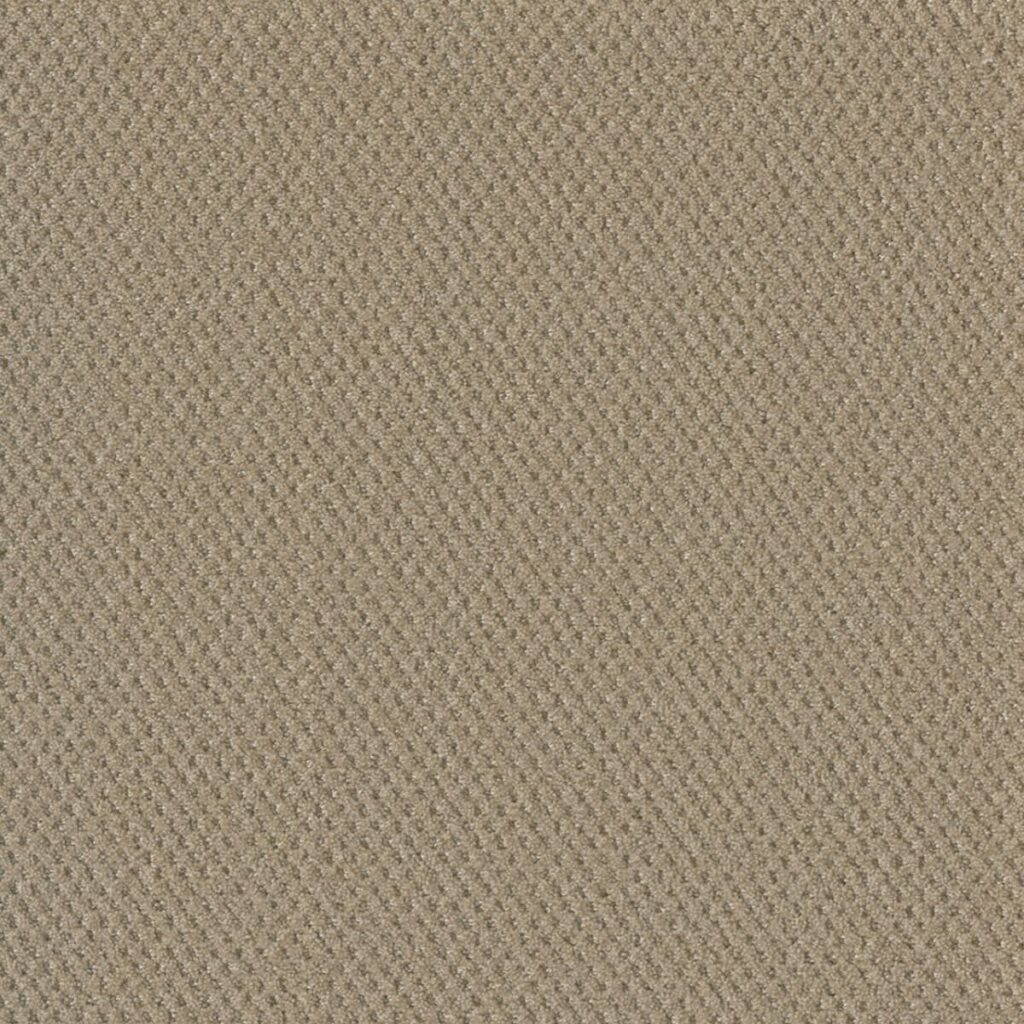 carpet swatch