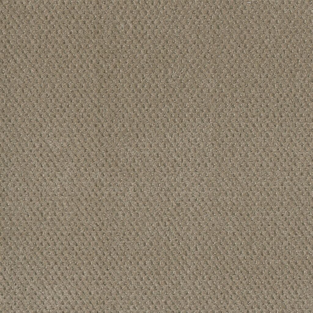 carpet swatch